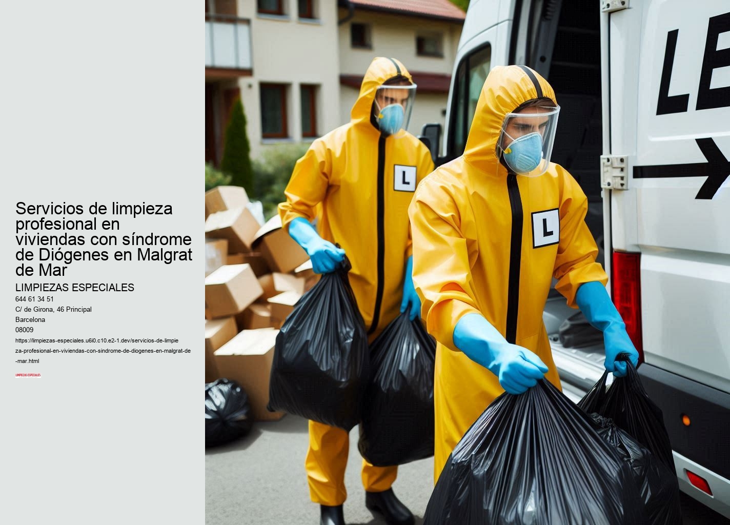 Limpieza profunda y mantenimiento regular