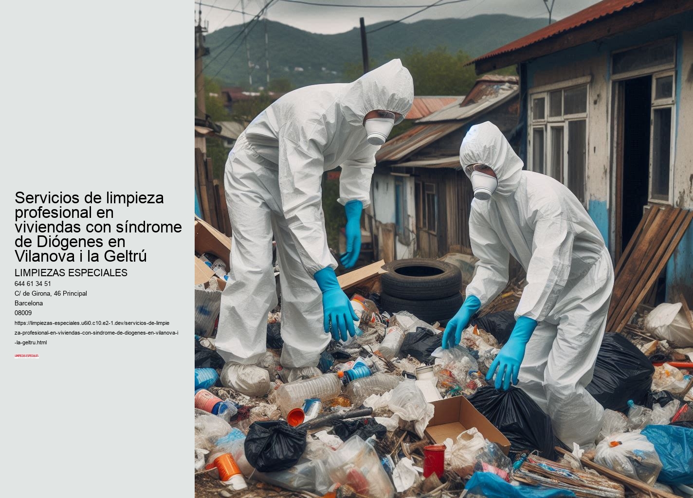 El papel de los servicios sociales en el síndrome de Diógenes